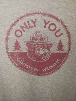 Женская футболка с коротким рукавом Smokey The Bear Only You Large серого цвета с графическим логотипом и длинными рукавами