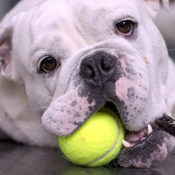 Теннисный мяч для собак, Гигантские Плюшевые игрушки для домашних животных, жевательная игрушка для собак, Фирменный детский мяч Mega Jumbo, Принадлежности для тренировок
